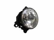 Nebelscheinwerfer links vorn RENAULT SCENIC III (JZ0/1) 1.5 DCI 78 KW 90012264