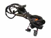 Kabel Tür vorne links VW POLO 6R 1.2 TSI 16V 66 KW 016297KR