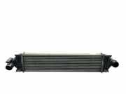 Ladeluftkühler FORD GRAND C-MAX (DXA/CB7, DXA/CEU) 1.6 ECOBO 110 KW BV61-9L440-AD