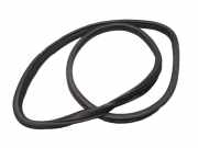 Türgummi rechts hinten JAGUAR S-TYPE X200 2.7 D 152 KW