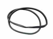 Dichtung Türrahmen Einstieg rechts hinten RENAULT GRAND SCÉNIC III (JZ0/1) 1.9 DCI 96 KW