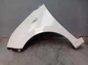 Kotflügel links Polar Weiss (BMS) HYUNDAI I10 (BA, IA) 1.0 49 KW