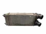 Ladeluftkühler PEUGEOT 5008 1.6 HDI 80 KW 9656503980