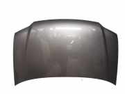 Motorhaube Haube Platinumgrey LD7X VW TOURAN 1T1 1.9 TDI 77 KW