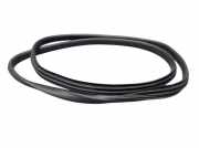 Dichtung Türrahmen Einstieg vorne rechts RENAULT SCENIC III (JZ0/1) 1.2 TCE 85 KW