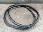 Dichtung Türrahmen Einstieg links hinten VW UP! (121, 122, 123, BL1, BL2, BL3) 1.0 55 KW 1S4867913C