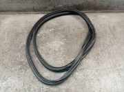 Dichtung für Heckklappe DS DS3 1.2 VTI 82 60 KW