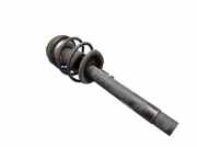 Federbein Stoßdämpfer vorne links BMW 3 (E46) 320I 125 KW 6757043