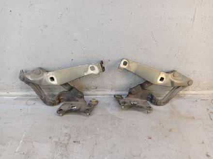 Motorhaubenscharnier Set rechts und links RENAULT GRAND SCÉNIC II (JM0/1) 2.0 99 KW 81663-6~81662-F