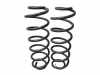 Federsatz Feder Federn Hinten Links und Rechts FORD FUSION (JU_) 1.4 TDCI 05-12 50 KW