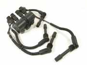 Zündmodul mit Kabel, 19005241 OPEL ASTRA G CC (F48_, F08_) 1.6 62 KW 19005241