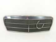 Kühlergrill 2108880023 MERCEDES-BENZ E-KLASSE (W210) E 200 100 KW 2108880023