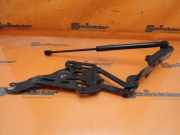 Motorhaubenscharnier MIT GASDRUCKDÄMPFER VORNE RECHTS BMW X5 (E70) 3.0SD 210 KW 7148348-11