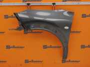 Kotflügel links vorn KTP GRAU SHARK CITROEN C4 CACTUS 1.6 BLUEHDI 100 73 KW