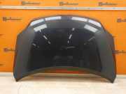 Motorhaube BLUEGRAPHIT PEARL VW GOLF PLUS (521, 5M1) 1.6 FSI 85 KW
