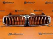 Kühlergrill BMW 7 (E65, E66, E67) 745D 220 KW 511370377279