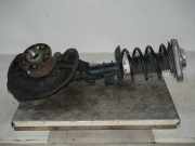 Federbein links vorn Achsschenkel MERCEDES E-KLASSE (W212) E 350 CDI 4MATIC 170 KW A2123208813 / A2123232900