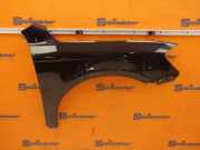 Kotflügel rechts vorn VW PASSAT ALLTRACK (365) 2.0 TDI 103 KW