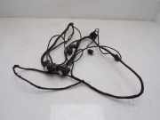 Kabelbaum PDC 4-Sensoren BMW 1 (F20) 116I 100 KW 9261607