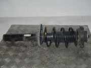 Federbein vorne links oder rechts SEAT IBIZA III (6L1) 1.4 16V 63 KW 6Q0413031BR / 6Q0413031AM / 6Q0413031AH