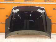 Motorhaube DELLE BLU SUGGESTIVO FIAT PUNTO EVO (199) 1.2 48 KW