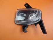 Nebelscheinwerfer links vorn H1 FIAT PUNTO EVO (199) 1.2 48 KW --