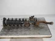 Federbein rechts vorn INFINITI FX 30D AWD 175 KW E6A101CF0F