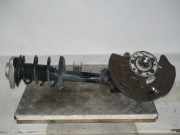 Federbein rechts vorn 122000km MERCEDES-BENZ B-KLASSE (W242, W246) B 200 NATURAL GAS 115 KW A2423204413 / A2423231000