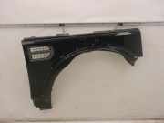 Kotflügel rechts vorn Schwarz LAND ROVER DISCOVERY III (L319) 2.7 TD 4X4 140 KW