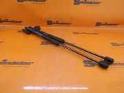 Heckklappendämpfer hinten SUZUKI SX4 S-CROSS (JY) 1.6 88 KW 8185061M00/8186061M00