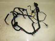 Kabel Tür VORNE LINKS ( FAHRERSEITE ) KIA SORENTO II (XM) 2.2 CRDI 4WD 145 KW 91605-2P113