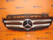 Kühlergrill Avantgarde MERCEDES-BENZ E-KLASSE (W213) E 180 115 KW A2138880260