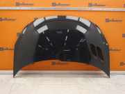 Motorhaube KTG GRAU HURRICANE PEUGEOT 206+ (2L, 2M) 1.4I 55 KW