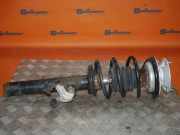 Federbein links vorn BMW 1 (E87) 118I 105 KW 6771553 / 6786017 / 824903001415