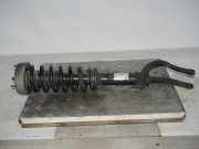 Federbein rechts vorn BMW X5 (E70) 3.0SD 210 KW 6781918