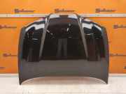 Motorhaube Preto Magic Perol SEAT IBIZA III (6L1) 1.2 47 KW