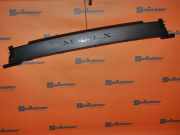 Zierleiste Einstiegsleiste hinten rechts TESLA MODEL X P100D AWD 568 KW 10058414-00 R-P1