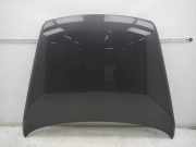 Motorhaube Galapagos Anthrazit Metallic VW TOUAREG (7L6, 7L7, 7LA) 3.0 V6 TDI 165 KW