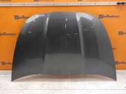 Motorhaube KTP - LACK GRAU SHARK CITROEN DS5 1.6 BLUEHDI 120 88 KW