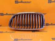 Kühlergrill Vorne Links BMW 5 TOURING (F11) 520D 135 KW 188013-10