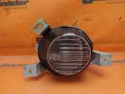 Nebelscheinwerfer links vorn SUZUKI IGNIS II (MH) 1.3 DDIS 51 KW 107-1198 L