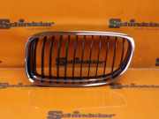 Kühlergrill Vorne Links BMW 3 TOURING (E91) 318D 100 KW