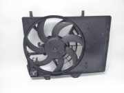 Elektromotor, Kühlerlüfter PEUGEOT 2008 I (CU) 1.6 BLUEHDI 120 88 KW 9801666680