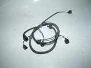 Kabelbaum PDC HINTEN VW GOLF V (1K1) 1.9 TDI 77 KW