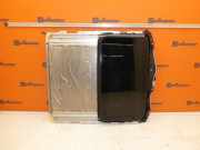 Schiebedach BMW 1 COUPE (E82) 118D 105 KW 8048492