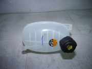 Behälter Kühlwasser NISSAN JUKE (F16) DIG-T 117 86 KW 217102572R