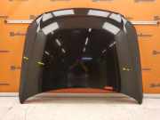 Motorhaube Brillantschwarz VW PASSAT VARIANT (3C5) 2.0 TDI 16V 103 KW