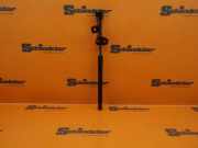 Gasfeder, Motorhaube LINKS TESLA MODEL 3 (5YJ3) EV 1091472-00-B