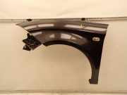 Kotflügel links vorn LS9N Negro Tinta Metallic SEAT TOLEDO III (5P2) 1.9 TDI 77 KW