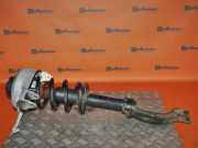 Federbein rechts vorn AUDI Q5 (8RB) 3.0 TDI QUATTRO 176 KW 8R0413031N